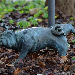 2026-01-08 Brandenburg an der Havel/Waldmöpse/DSC_2318.JPG